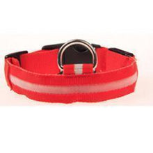 LED Dog Collar