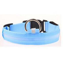 LED Dog Collar