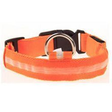 LED Dog Collar